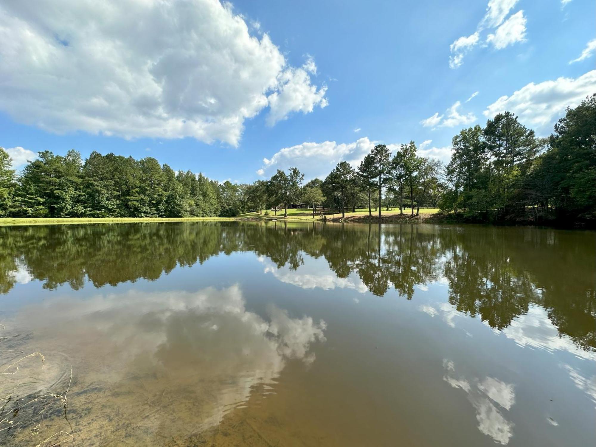 Refuge Ranch Retreat Log Cabin Lake 53+ Acres Locust Grove Buitenkant foto